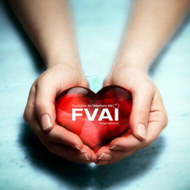 Donate to the FVAI