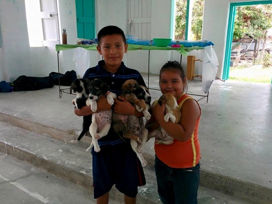 Children bringing puppies at FVAI vet clinic in Sarteneja