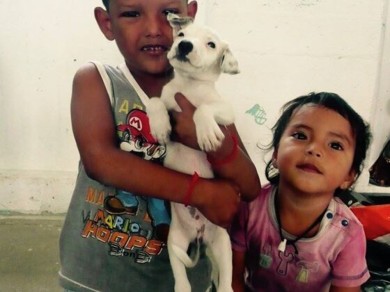 Children of Sarteneja with their puppy