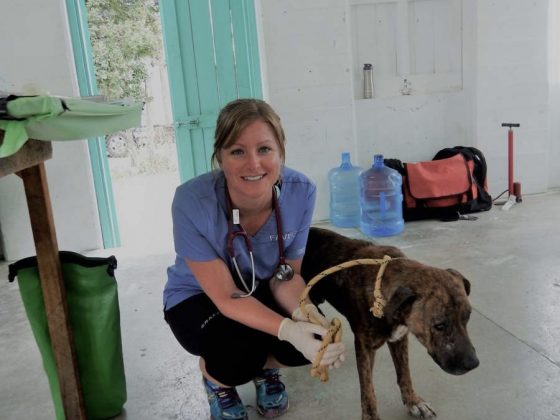 Caroline, vet technician volunteering at FVAI clinic in Belize