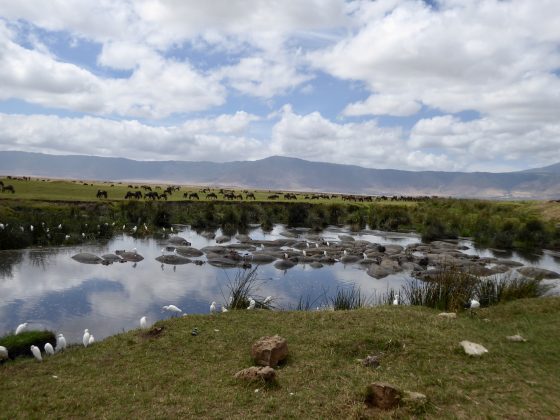Amazing Ngorongoro crater in Tanzania