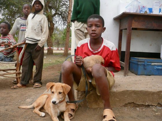 A young Tanzanian consults with his dogs