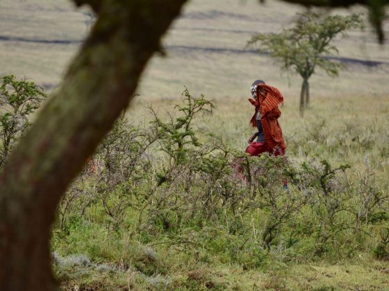 A young massai running in the bush.