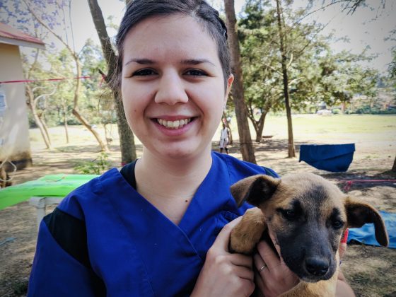 Emilie, a vet nurse FVAI volunteer in Tanzania