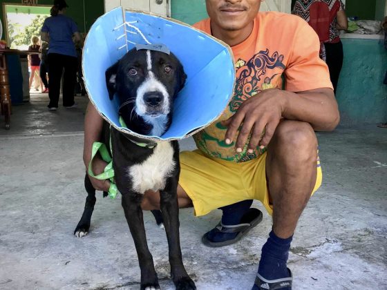 A Belizean and his dog at FVAI spay neuter clinic