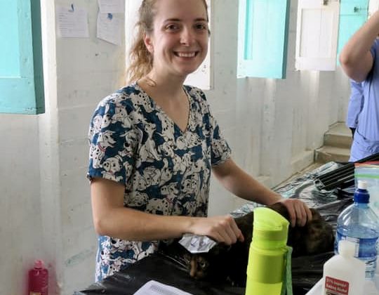 Vet nurse at FVAI spay neuter clinic in Belize