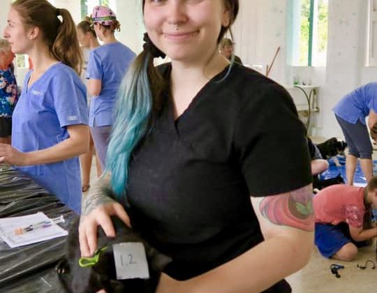 Vet nurse at FVAI spay neuter clinic in Belize