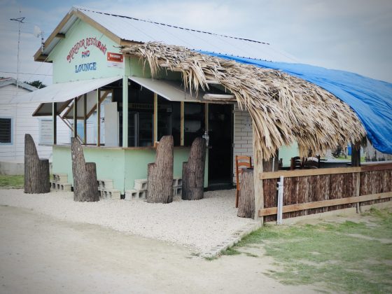 FVAI Project in Belize, Sarteneja