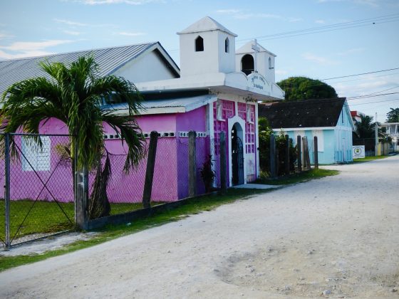 FVAI Project in Belize, Sarteneja