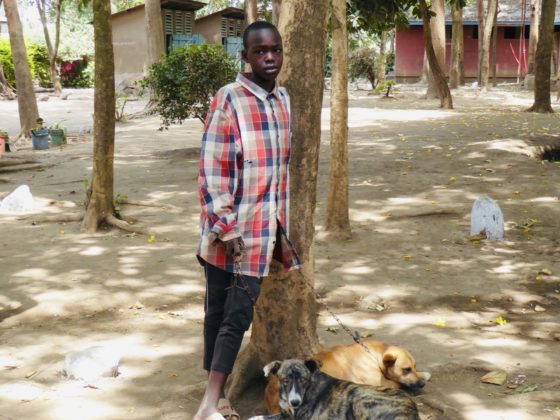 A young Tanzanian with his dogs at the vaccination clinic in Arusha, Tanzania