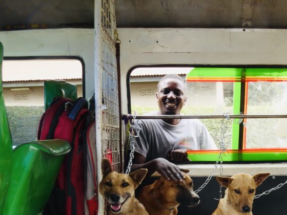 Our bus driver and dog catcher with street dogs