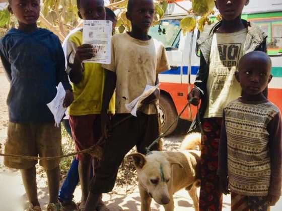 A blue mark on the forehead means the dog was vaccinated against rabies. Children get a rabies certificate and a pamphlet about rabies prevention