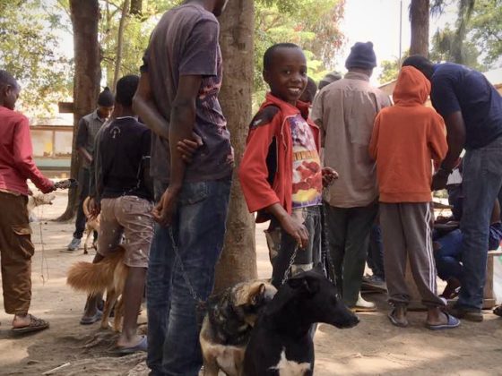 Young and proud dog owner brings his dog to vaccination clinic in Tanzania