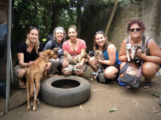 Visiting Mbwa Wa Africa shelter. Puppy love!