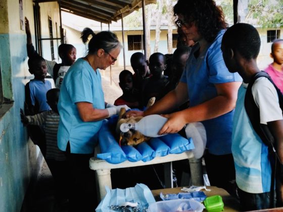 Surgery under supervision in Tanzania