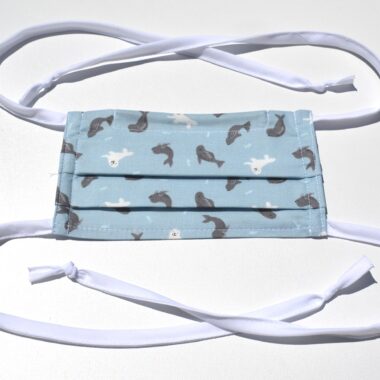 mask with ties-seals in pale blue