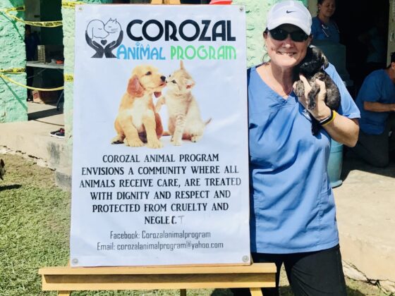 Our local partner, Corozal Animal Program (CAP)