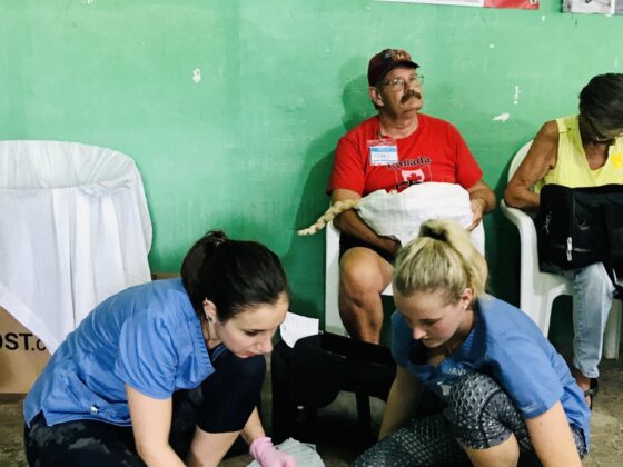 Animal health technicians at the recovery station in Belize