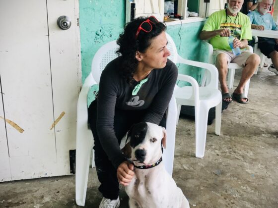 A volunteer comforting a dog at FVAI's clinic in San Joaquin, Belize