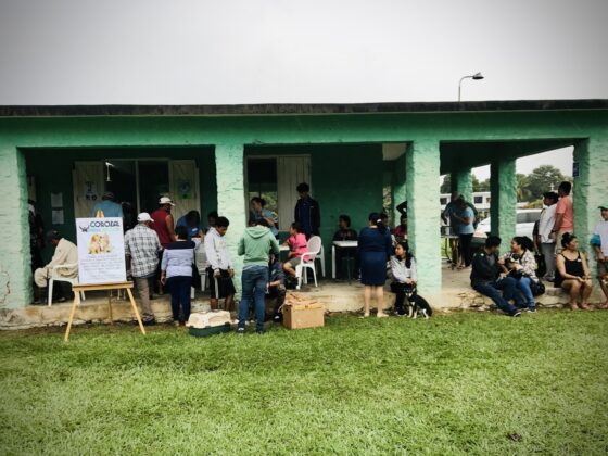 A very busy FVAI clinic in San Joaquin, Belize
