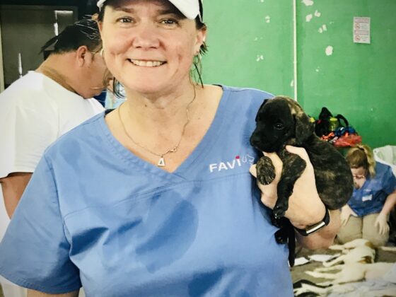 A FVAI volunteer comforting a puppy at FVAI's clinic in Belize