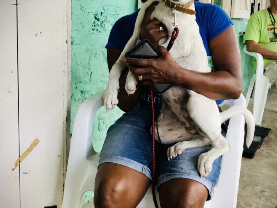 Rachel, a volunteer from Corozal Animal Program (CAP) comforts a little dog
