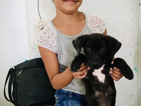 A young Belizean and her dog at FVAI's clinic