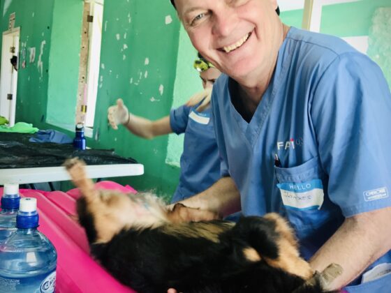 A FVAI volunteer animal health technician in Belize