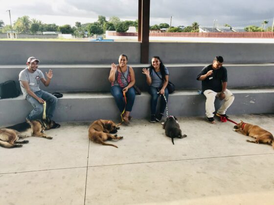 Responsable owners at the FVAI-CAWS Clinic in San Ignacio