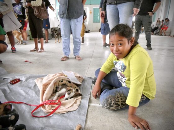 A young Belizean watching over her dog during recovery