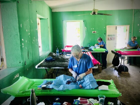 Surgery at FVAI's veterinary clinic in San Joaquin, Belize