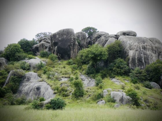 Kopje; a small hill upon which massive rocks can be found