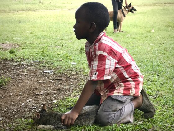 A child and his cat at FVAI's clinic in Tanzania