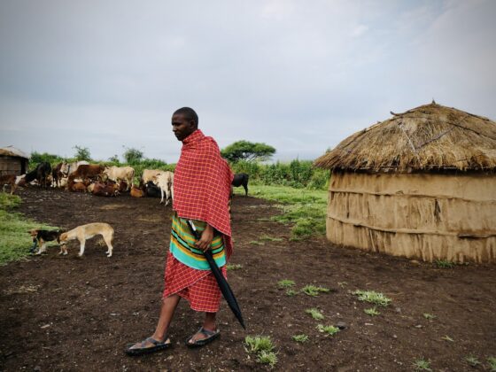 Visiting a boma with a Maasai, FVAI safari, Tanzania