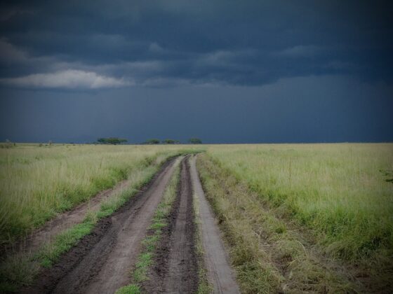 Stormy skies in the Serengeti, FVAI safari, Tanzania