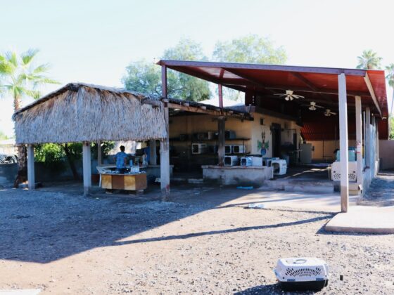 The shelter Animalandia in Loreto, Mexico