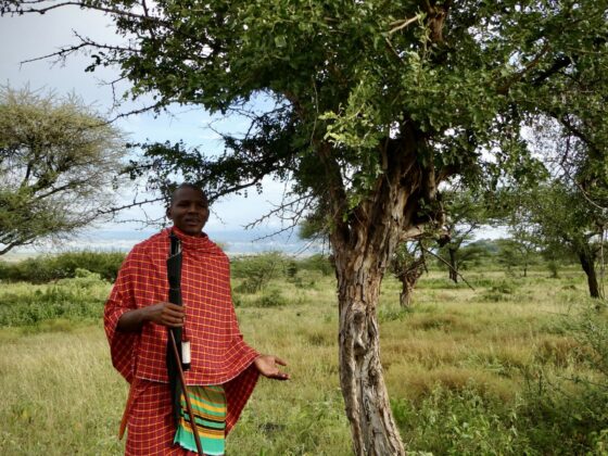 Maasai in Tanzania, FVAi safari