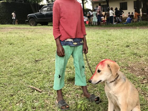 A child and his dog at FVAI's clinic in Tanzania
