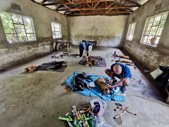 FAVI Clinic wake-up station in an elementary school classroom in Tanzania