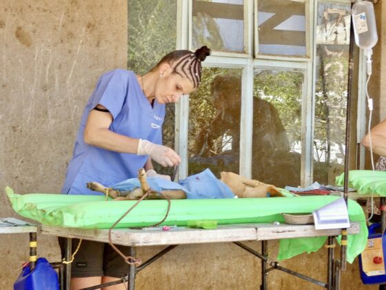 Surgery on the balcony of an elementary school in Tanzania