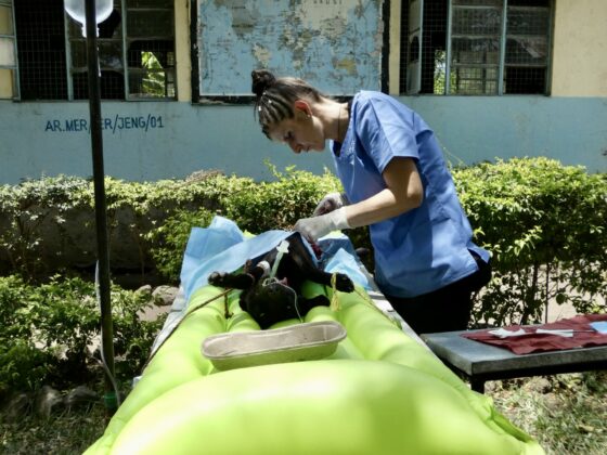 Outdoor surgery with FAVI in Tanzania