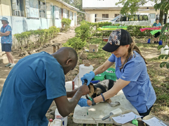 FAVI pre-op clinic in Tanzania