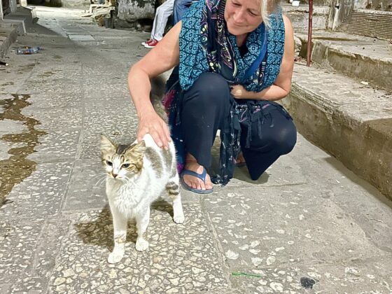 Dr Simard, founder of FAVI, with a cat in Stone Town, Zanzibar