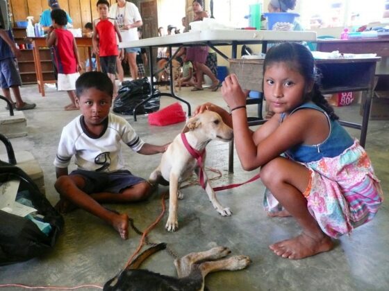 Des jeunes enfants et leur chien au village maya de Red Bank, Belize