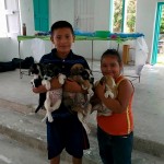 Enfants qui apportent leurs chiots à la clinique de la FAVI à Sarteneja, Belize