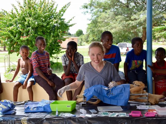 Dre Angélique, vétérinaire de la FAVI au Botswana