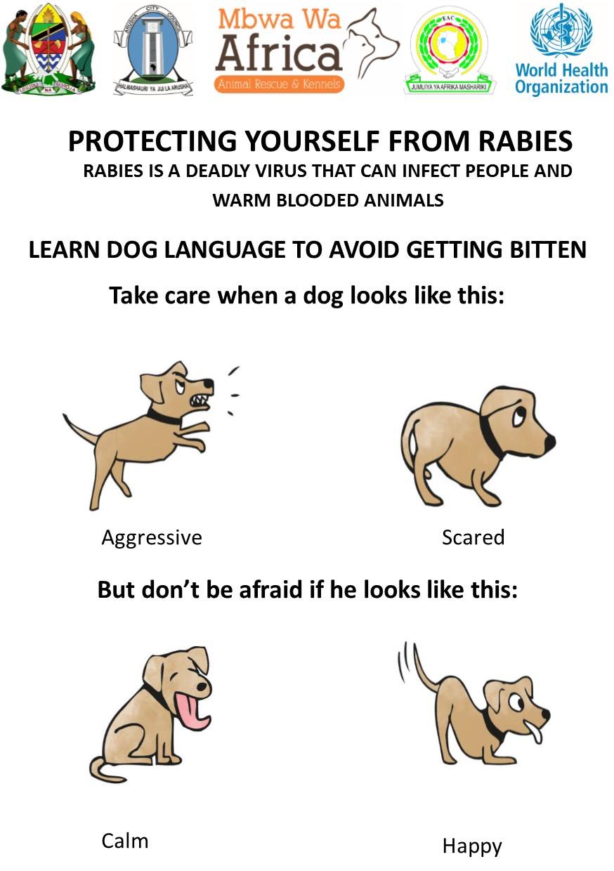 Comprendre le langage des chiens