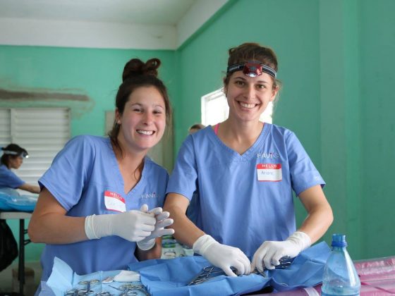 Des étudiantes en médecine vétérinaire au Belize