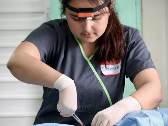 Une future vétérinaire en chirurgie dans le village maya de Patchakan au Belize
