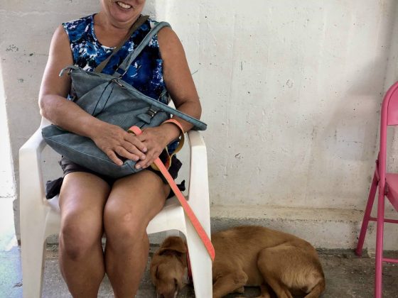 L'attente à la clinique vétérinaire FAVI Sarteneja, Belize